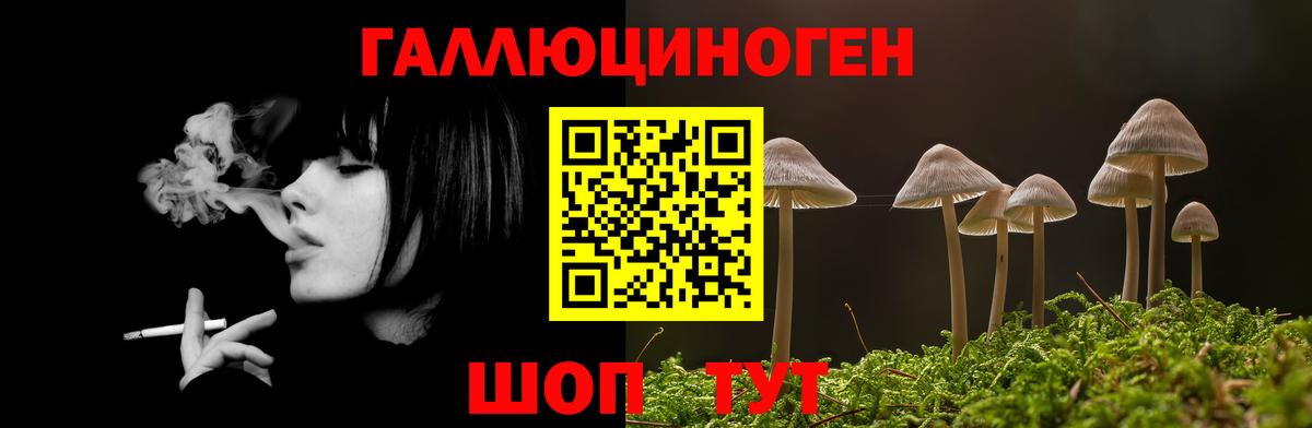 Владикавказ  купить закладку  Вход с VPN  Псилоцибиновые грибы Psilocybine cubensis 